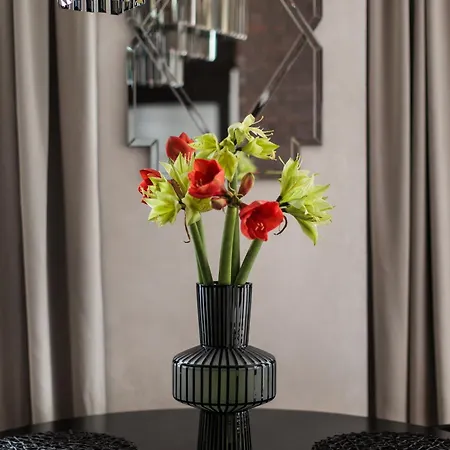 Luksusowy Na Podgorzu - By Upstairs * Krakkó